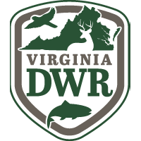 VDWR